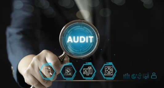 audit